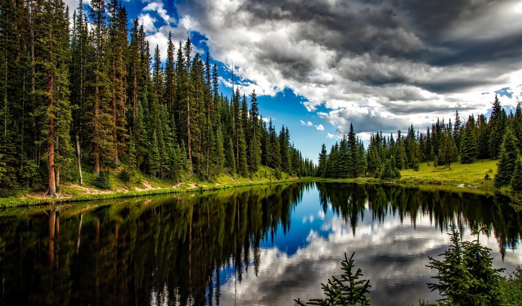Высокие сосны на берегу озера под темными грозовыми облаками