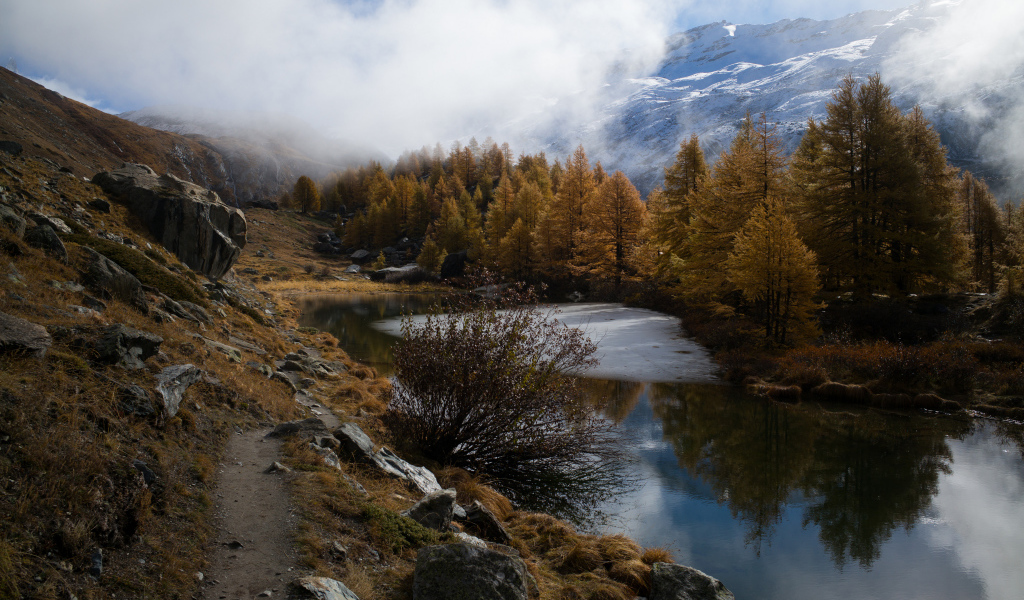 Вид на реку у леса в горах в тумане 