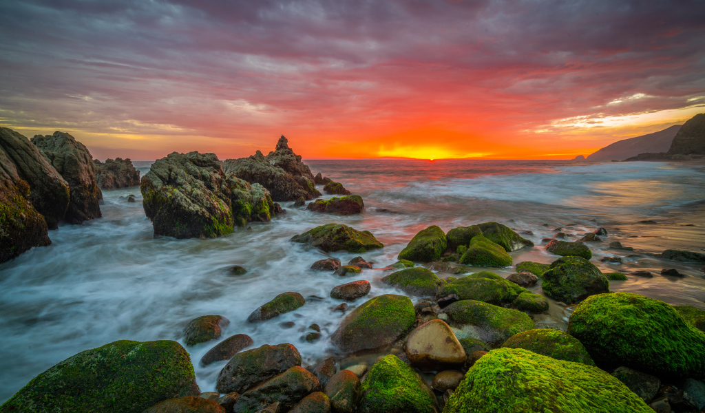 Покрытые зеленым мхом камни на берегу моря