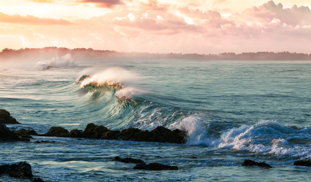 Волны на берегу океана в тумане 