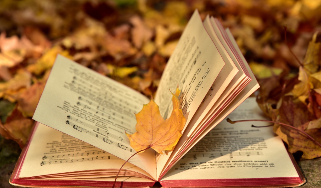 Книга с нотами на земле с опавшими листьями