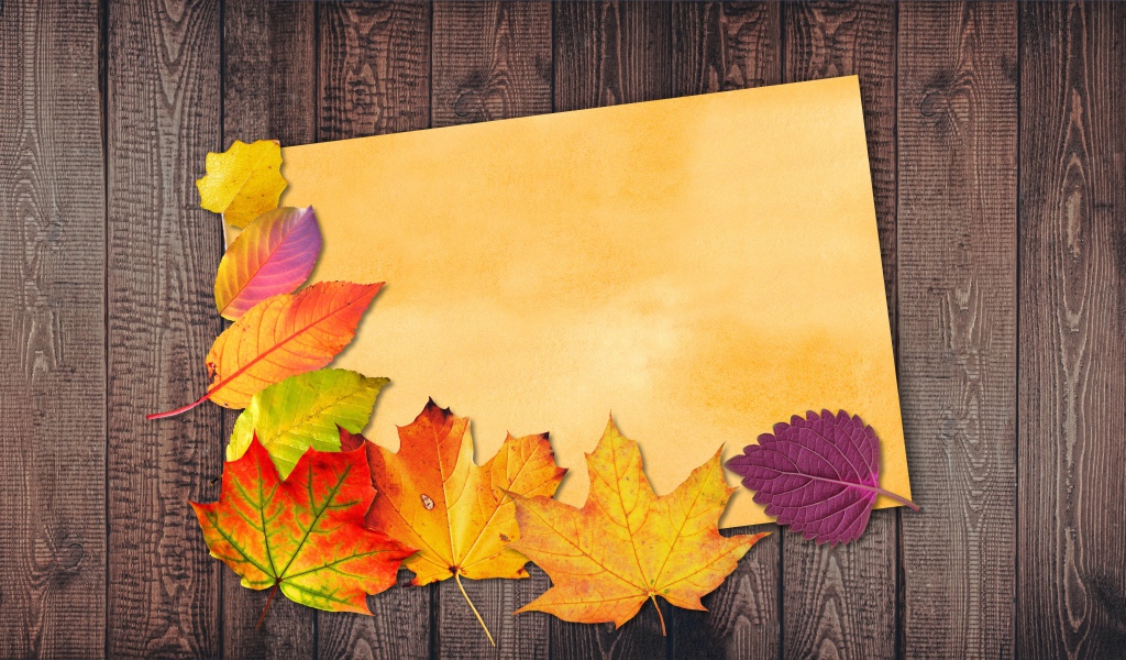 Sheet of paper with autumn leaves on wooden background