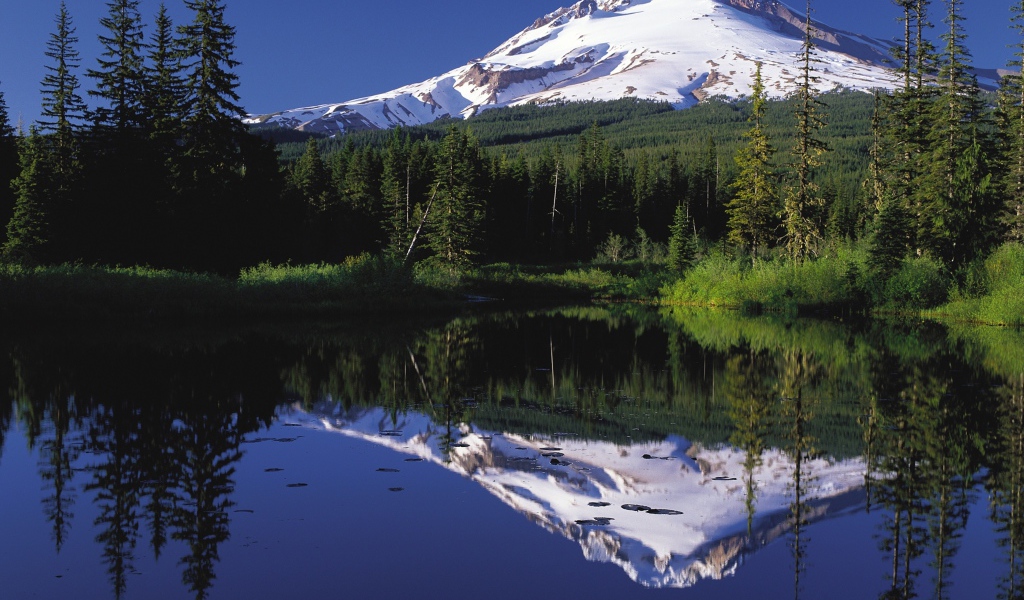 Спящий вулкан Маунт-Худ отражается в воде, США