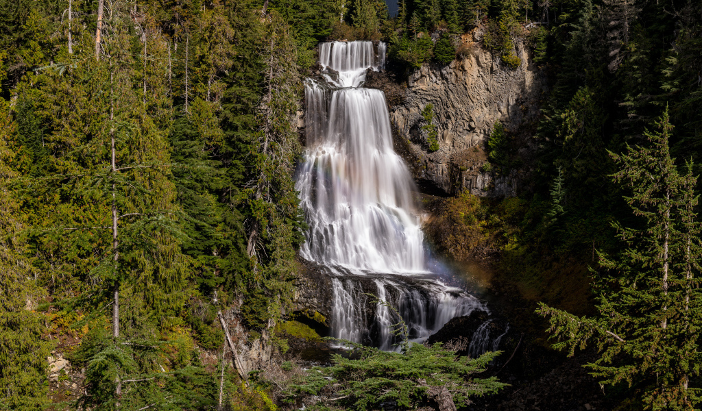 Большой водопад Александр стекает по скале в лесу 