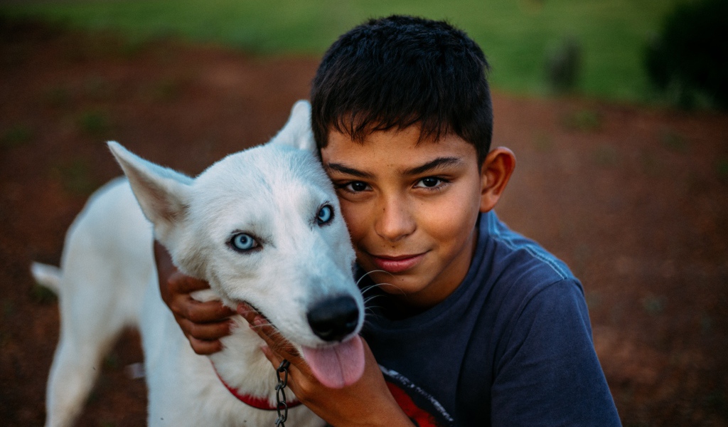 Мальчик с белой собакой с голубыми глазами 