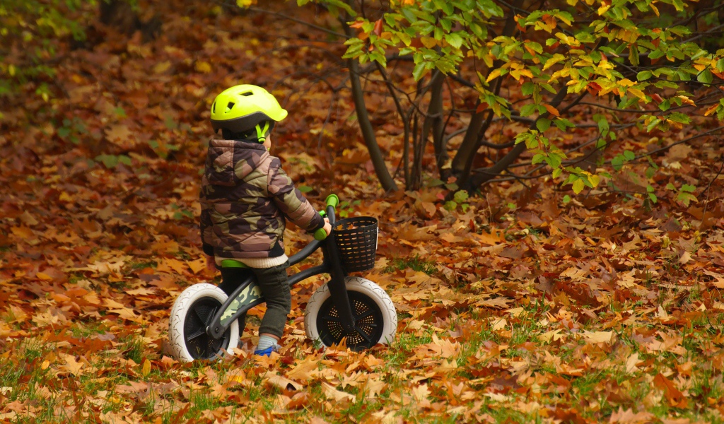 Маленький мальчик на велосипеде в осеннем парке 