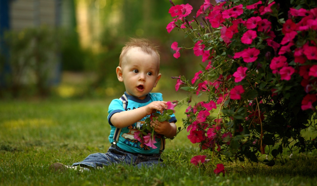 Маленький мальчик сидит возле красных цветов петунии