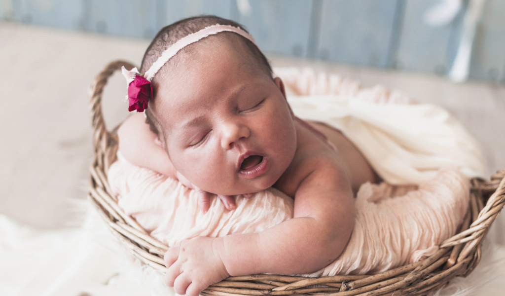 Новорожденная девочка лежит в корзине 