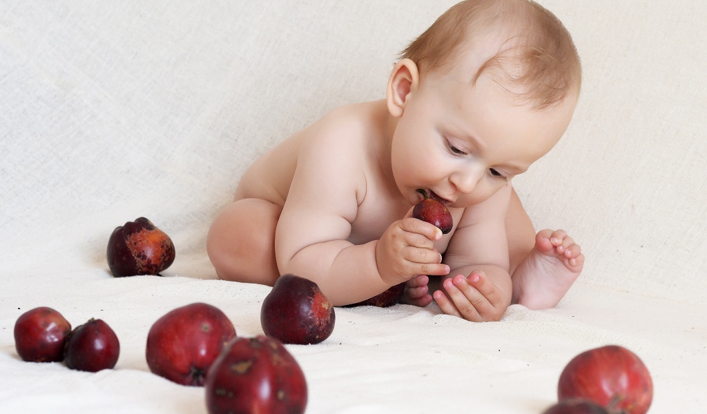 Маленький грудной ребенок грызет красные яблоки 