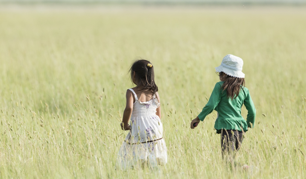 Две маленькие девочки гуляют по полю 