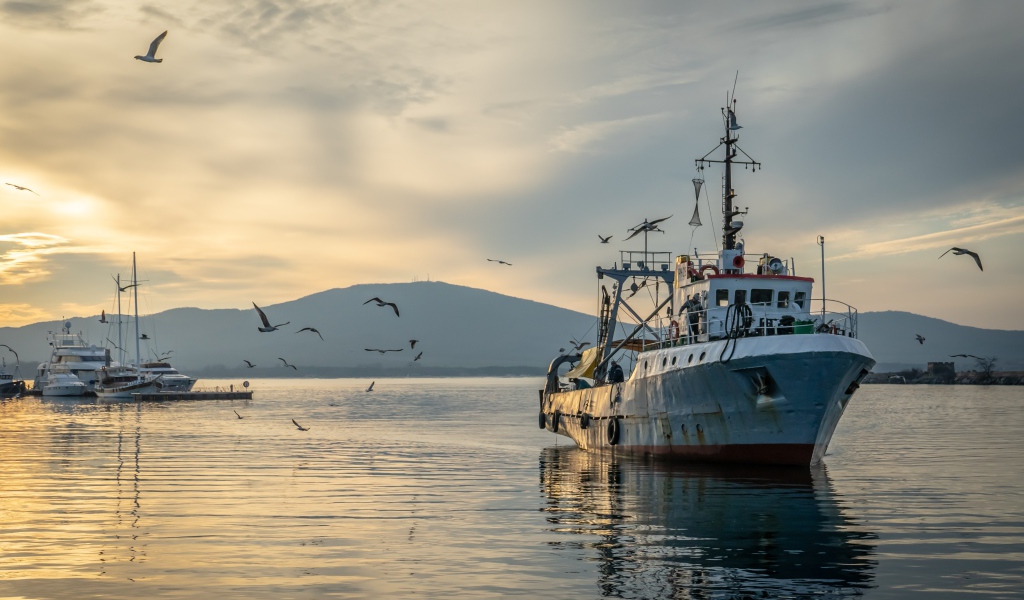 Старое рыболовное судно в море на закате 