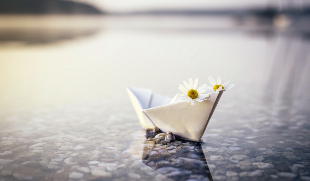 Бумажный кораблик в воде с ромашками