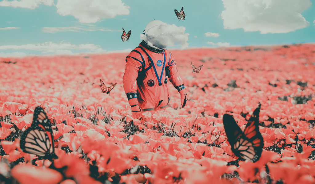 Космонавт идет по полю с бабочками и красными маками