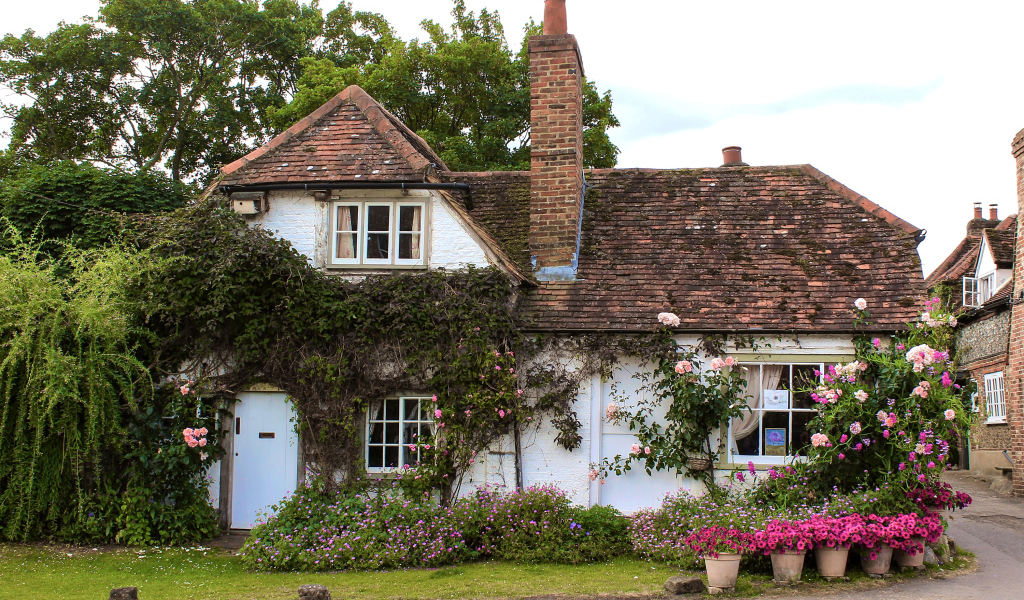 Красивый дом с цветами, Англия