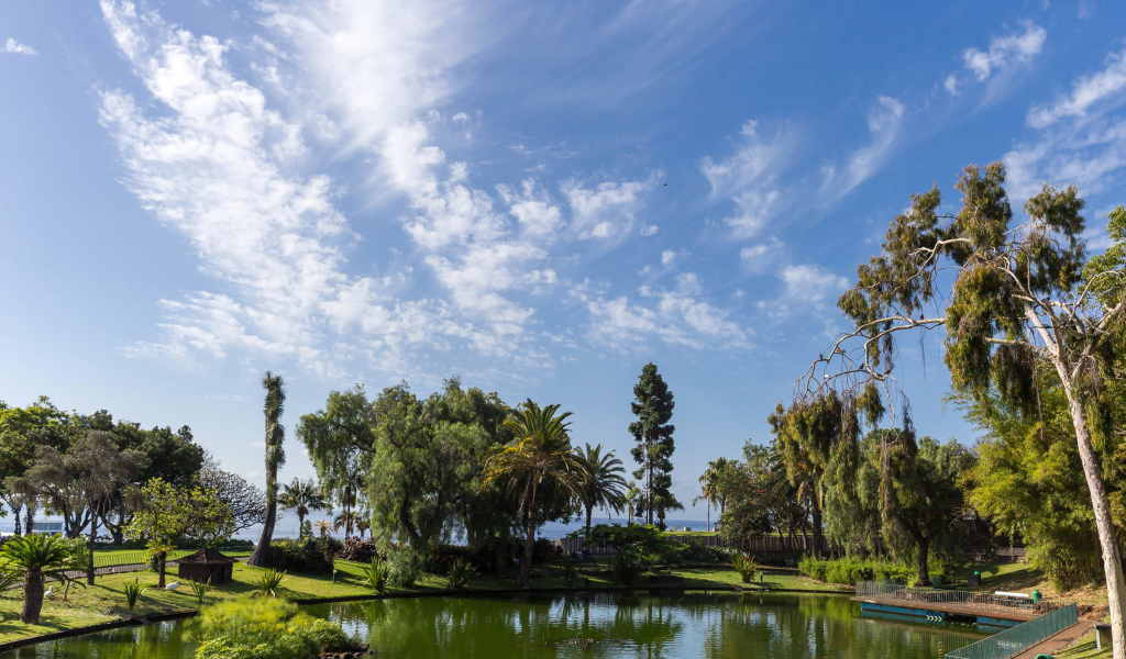 Красивое голубое небо над парком, Португалия