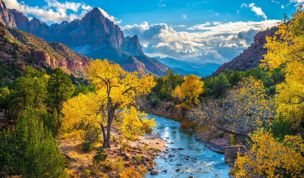 Красивый вид на национальный парк Сион осенью, США