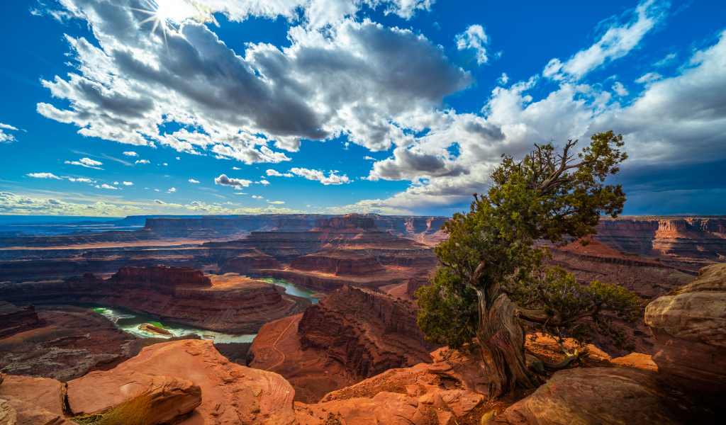 Красивый вид на каньон под голубым небом, США