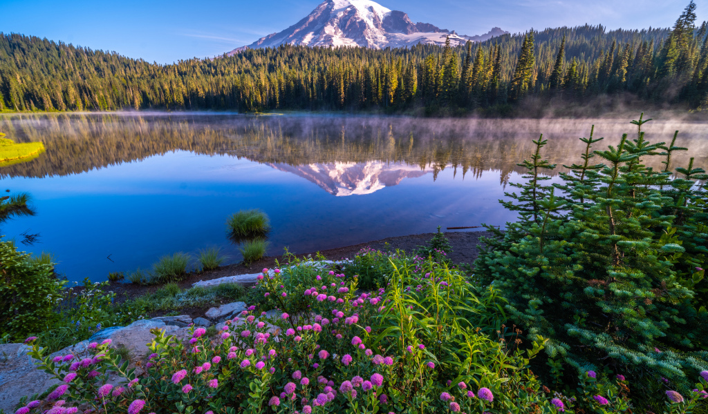 Красивый вид на заснеженную вершину горы у озера, США 