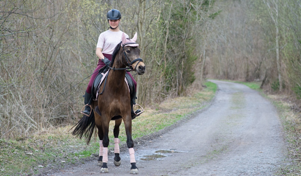 Молодая девушка катается на лошади 