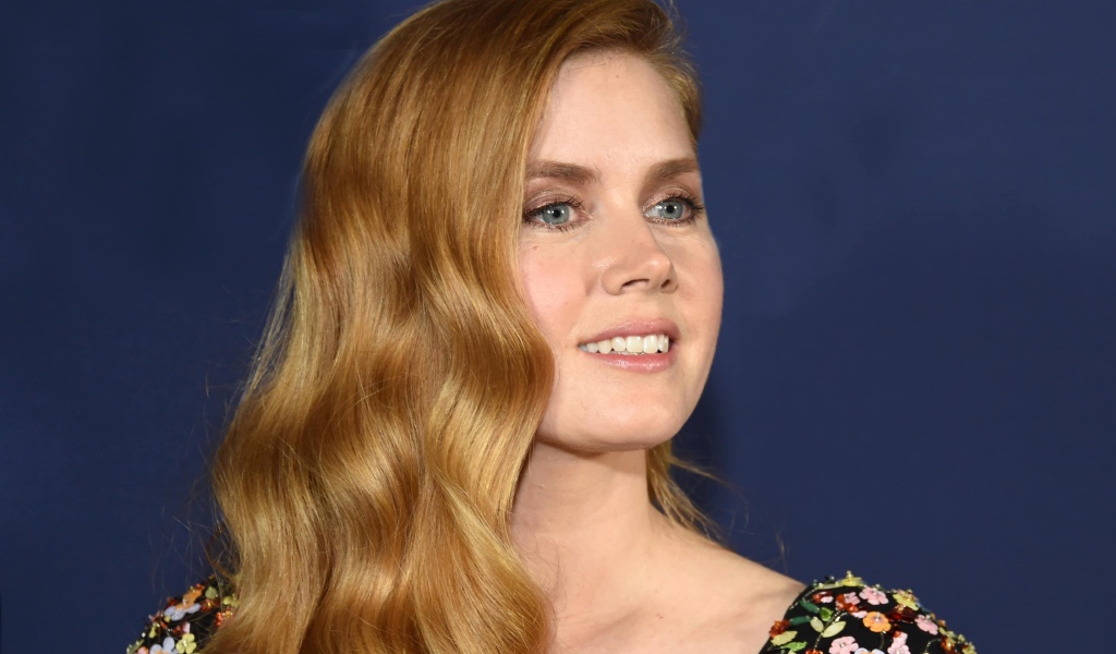 Beautiful red-haired girl actress Amy Adams