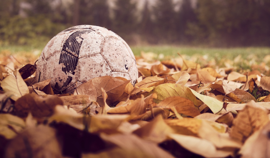 Старый футбольный мяч в сухой листве 