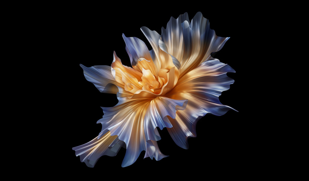 Красивый абстрактный белый цветок на черном фоне