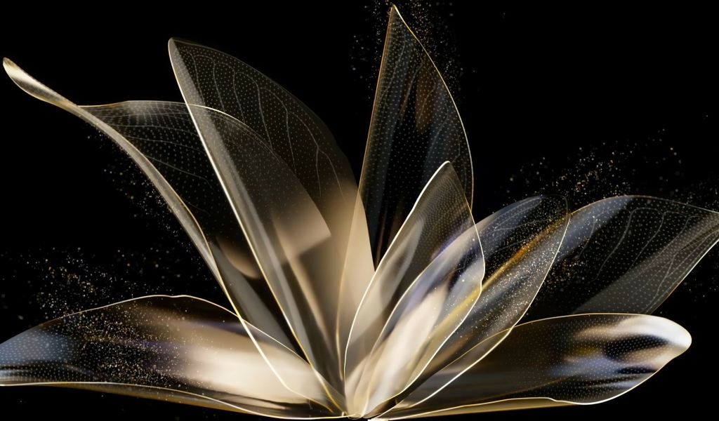 Распустившийся абстрактный цветок на черном фоне