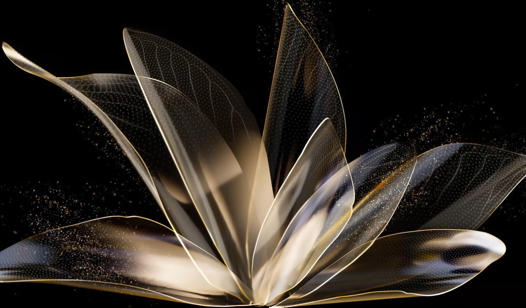 Фантастический абстрактный цветок на черном фоне