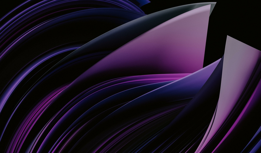 Фиолетовые абстрактные лепестки на черном фоне