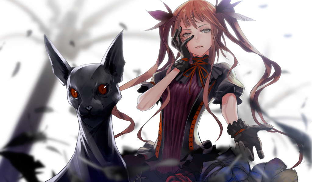 Девушка аниме с черным котом