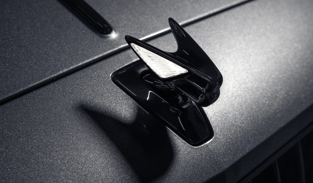 Фирменный знак автомобиля Bentley Flying Spur Hybrid The Surgeon 2022