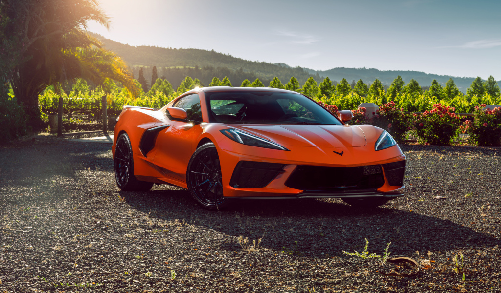 Быстрый гоночный автомобиль Chevrolet Corvette C8 в лучах солнца