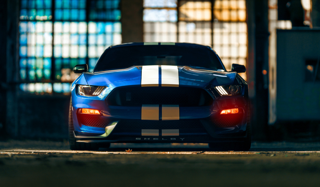 Красивый гоночный автомобиль Ford Mustang Shelby GT350 вид спереди