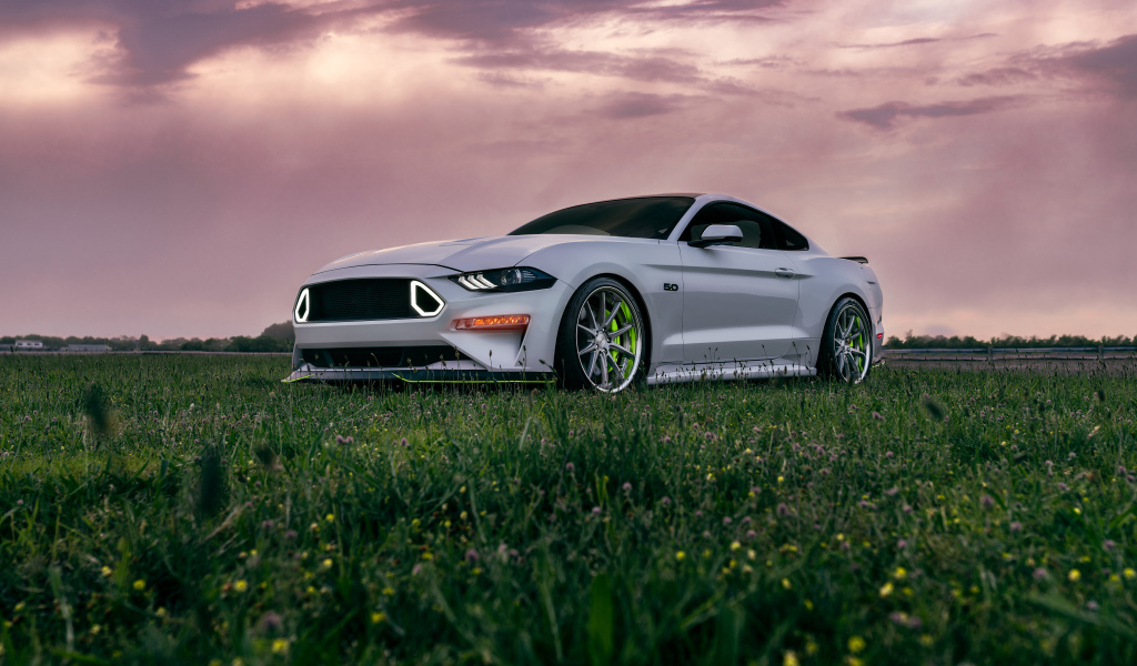 Автомобиль Ford Mustang GT на фоне красивого неба