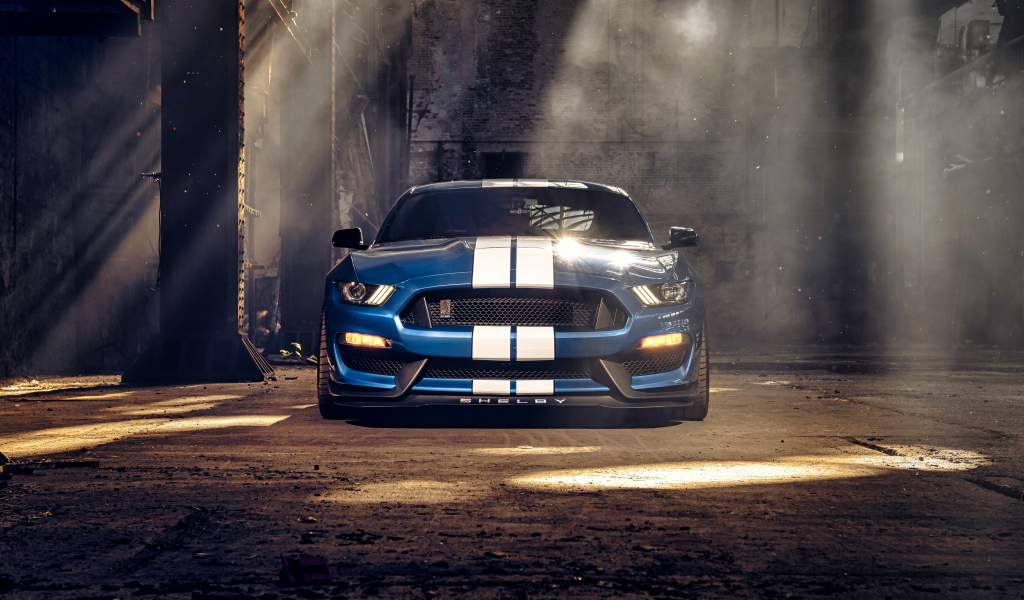 Гоночный автомобиль Ford Mustang Shelby GT350 вид спереди