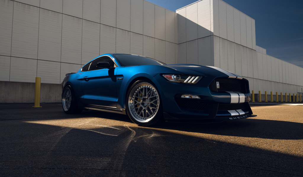 Презентация автомобиля Ford Mustang Shelby GT350