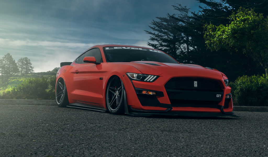 Красный автомобиль Ford Shelby GT500  на дороге