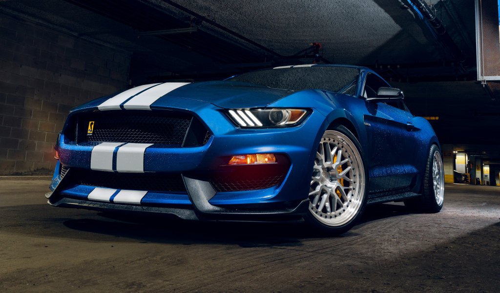 Мокрый синий автомобиль форд мустанг Shelby GT350