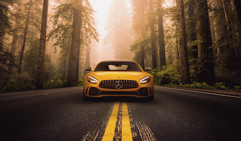 Автомобиль Mercedes-Benz AMG GT R на трассе в лесу