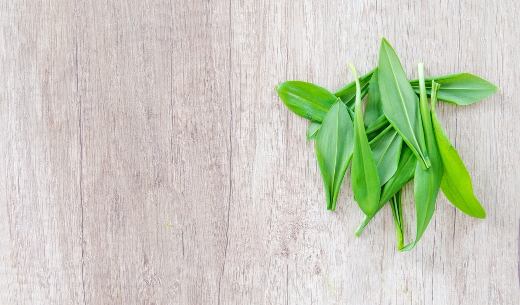 Пучок зеленых листьев на деревянной поверхности 