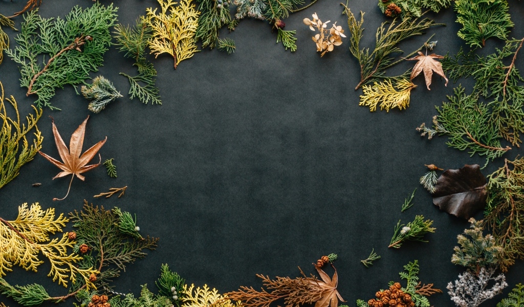 Серый фон с растениями