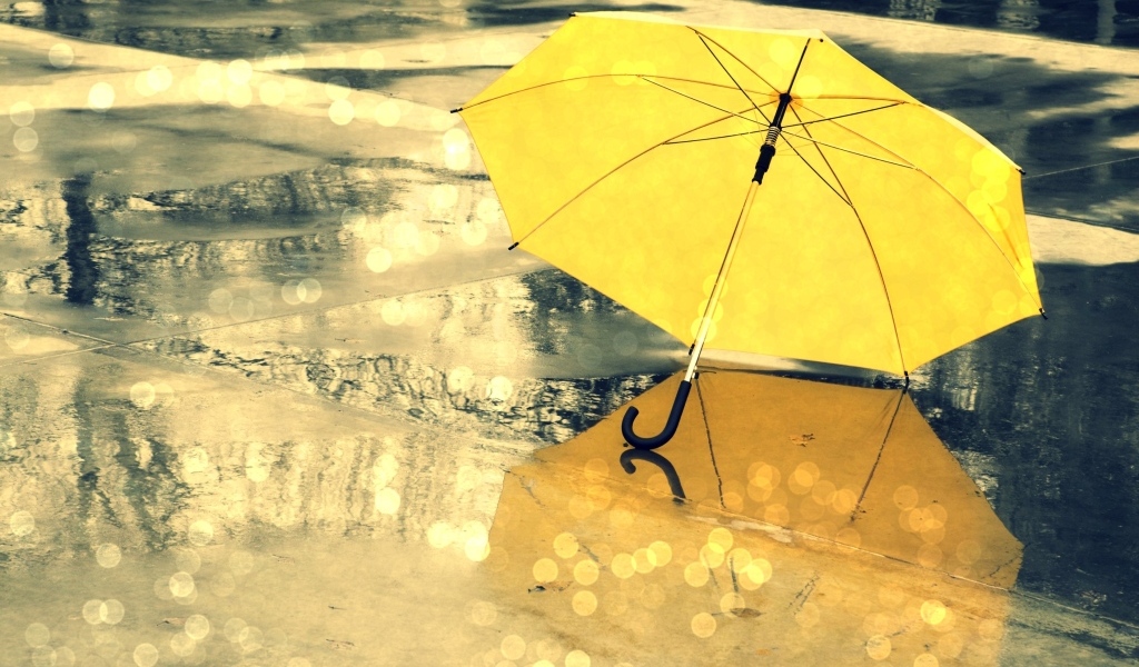 Желтый зонт лежит на мокром асфальте