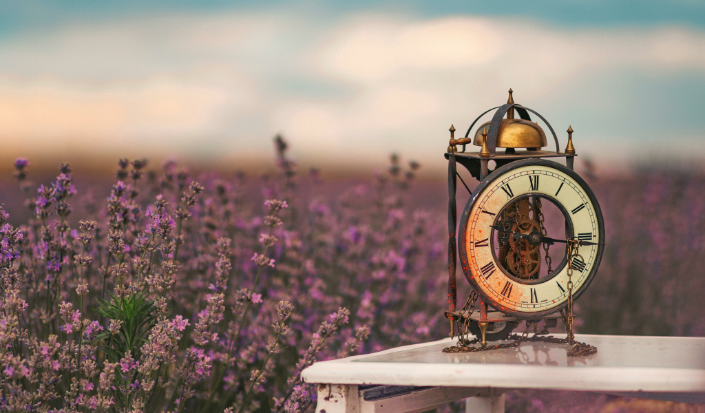 Старинный часы стоят на столе у лавандового поля