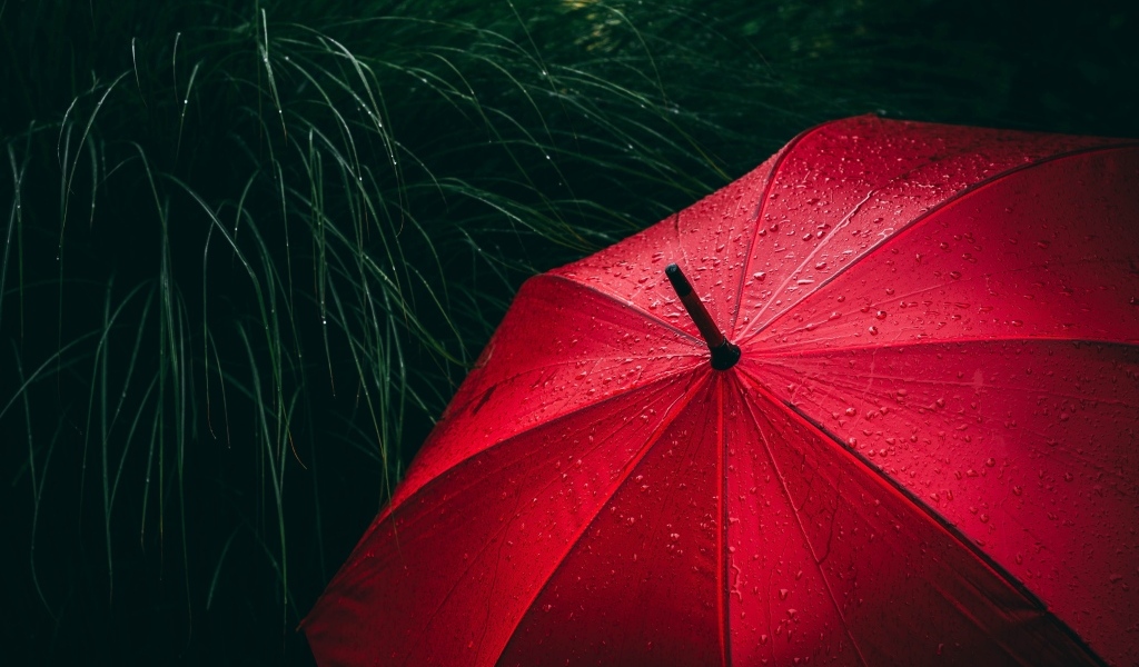 Большой красный зонт в траве под дождем
