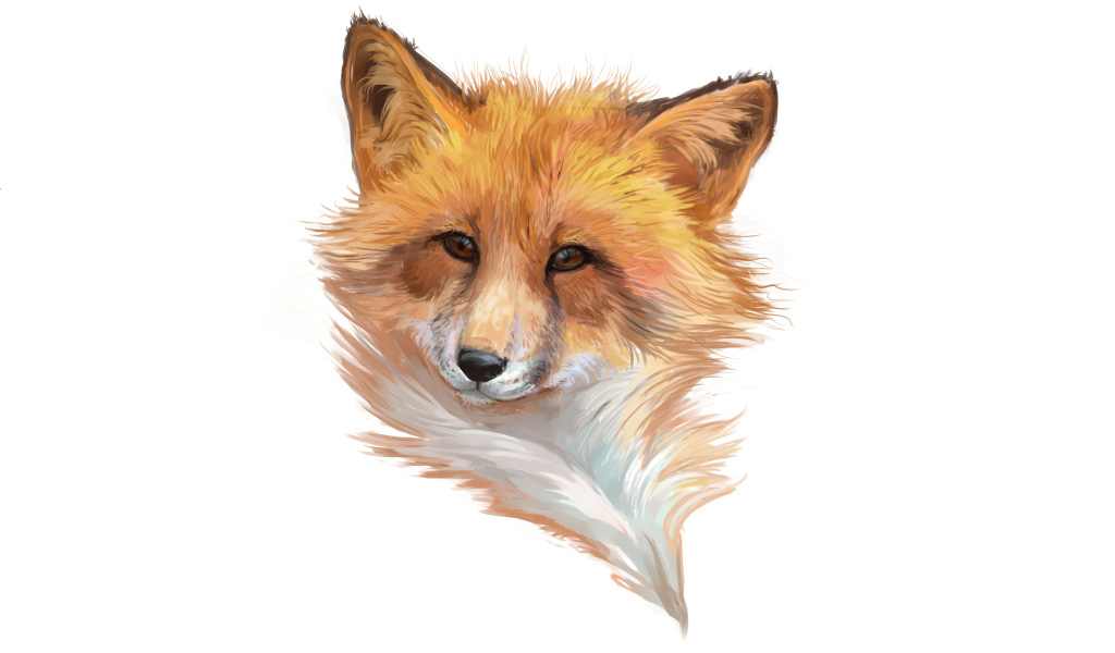Нарисованная морда лисы на белом фоне