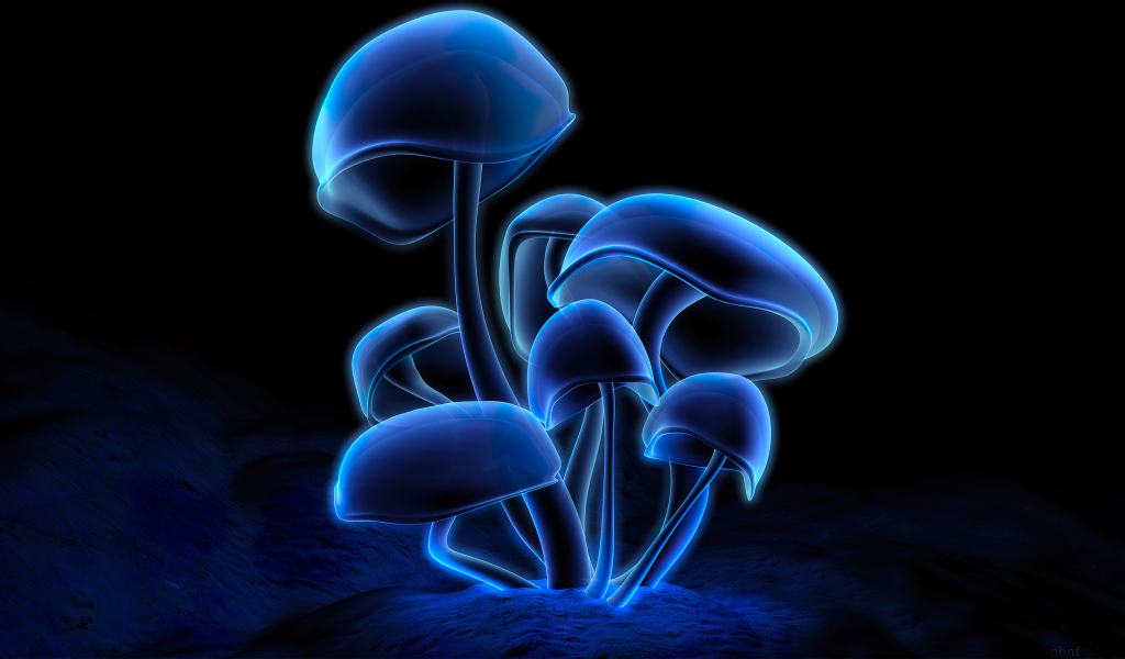 Синие светящиеся грибы на черном фоне