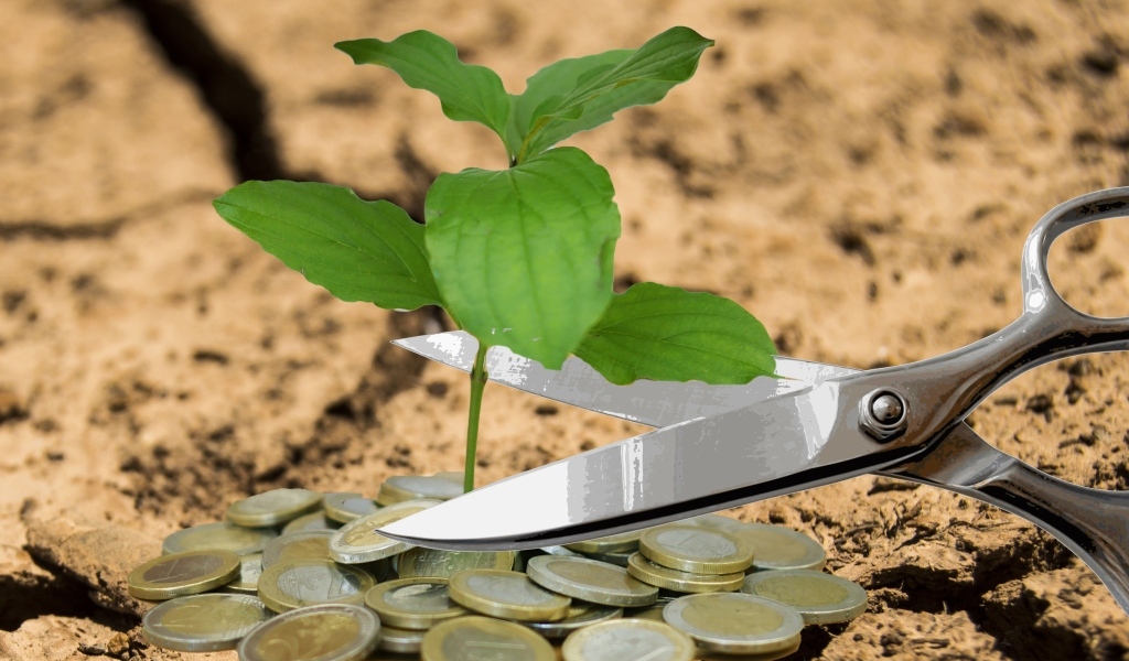 Ножницы, росток и монеты евро на земле