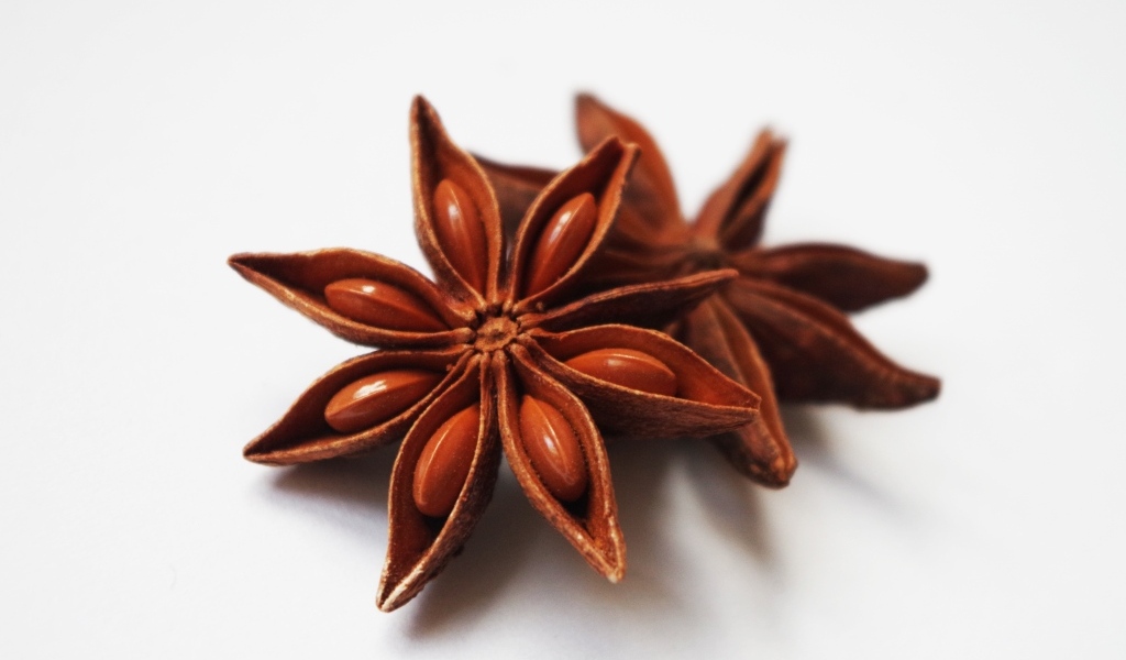 Звезды аниса на белом фоне