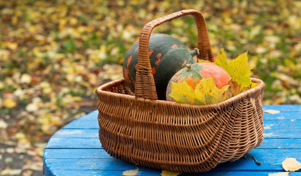 Корзина с тыквой осенью 