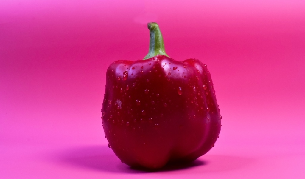 Большой красный перец на розовом фоне